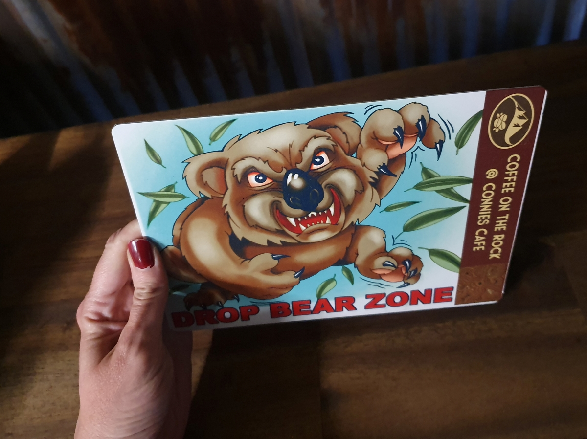 Hanging Rock Drop Bear Aluminium Sign - Image 3